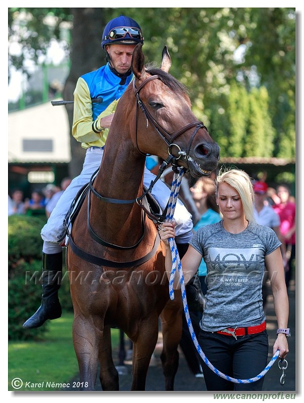 Bratislava - 15. jl 2018 
