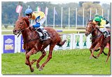 Hendikep Petite Sirene  