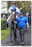 Cena spolonosti ARQANA 