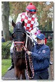 Cena spolonosti ARQANA 