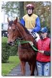 Cena spolonosti ARQANA 