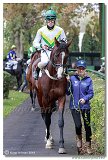 Cena spolonosti ARQANA 