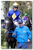 Cena spolonosti ARQANA 