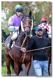 Cena spolonosti ARQANA 