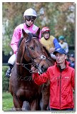 Cena spolonosti ARQANA 