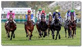 Cena spolonosti ARQANA 