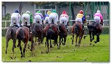 Cena spolonosti ARQANA 