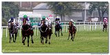 Cena spolonosti ARQANA 