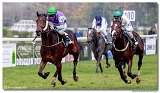 Cena spolonosti ARQANA 