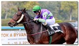 Cena spolonosti ARQANA 