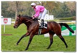 Cena spolonosti ARQANA 
