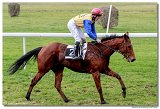 Cena spolonosti ARQANA 