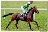 Cena spolonosti ARQANA 