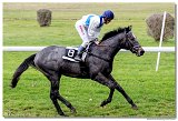 Cena spolonosti ARQANA 