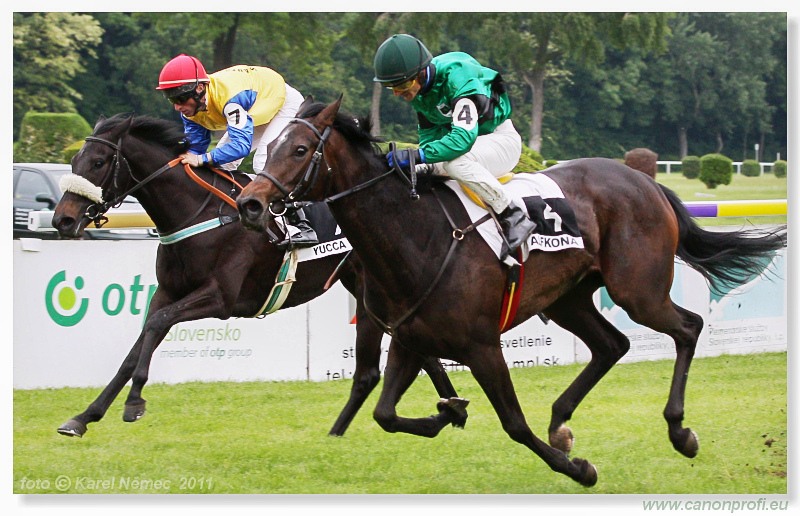 Bratislava - 15. mája 2011