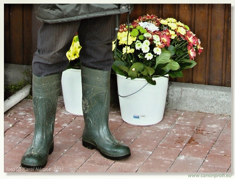 Bratislava - 15. mája 2011