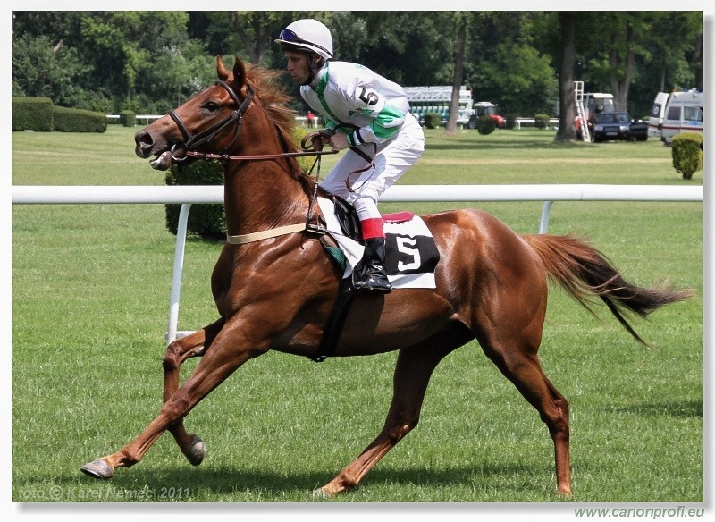 Bratislava - 5. júna 2011