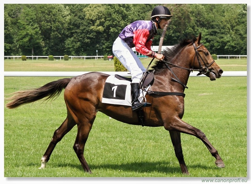 Bratislava - 5. júna 2011
