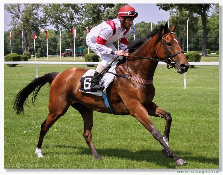 Bratislava - 5. júna 2011
