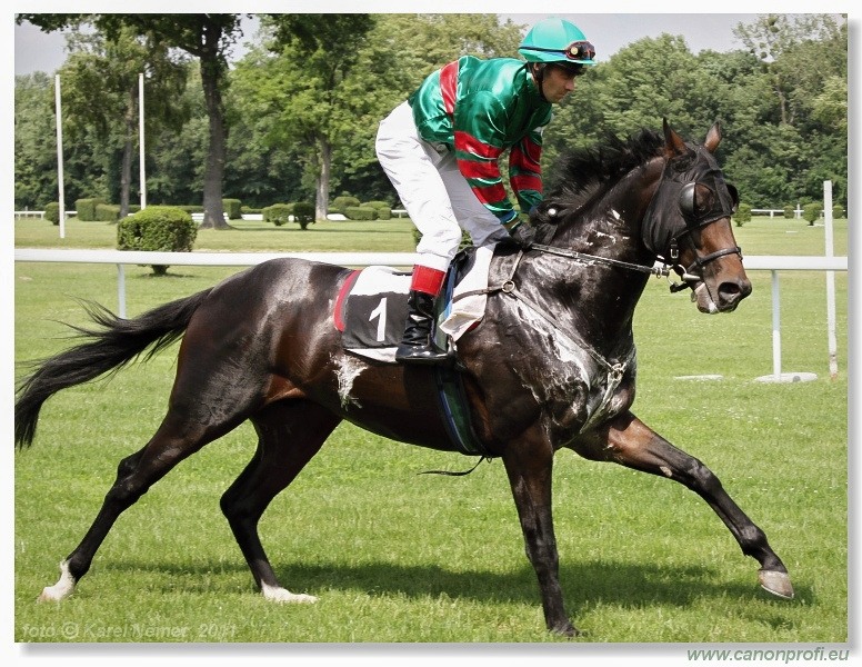 Bratislava - 5. júna 2011
