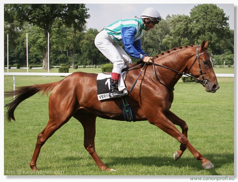 Bratislava - 5. júna 2011