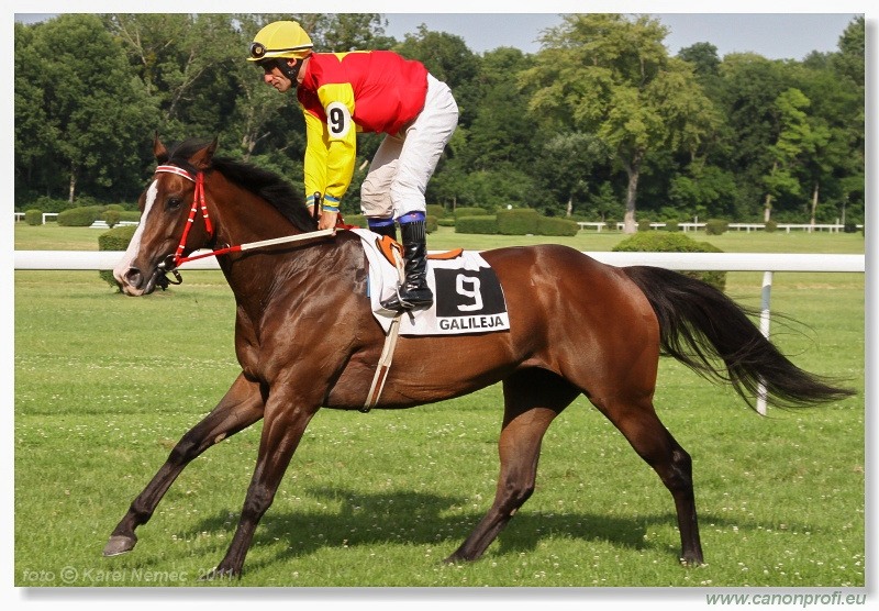 Bratislava - 5. júna 2011