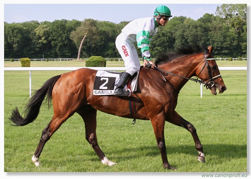 Bratislava - 5. júna 2011