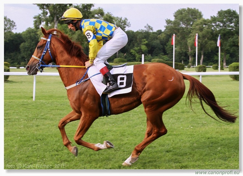 Bratislava - 5. júna 2011