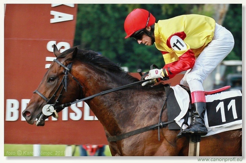 Bratislava - 5. júna 2011