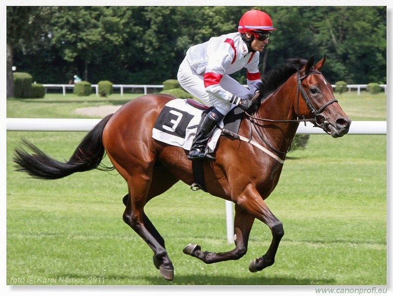 Bratislava - 26. júna 2011