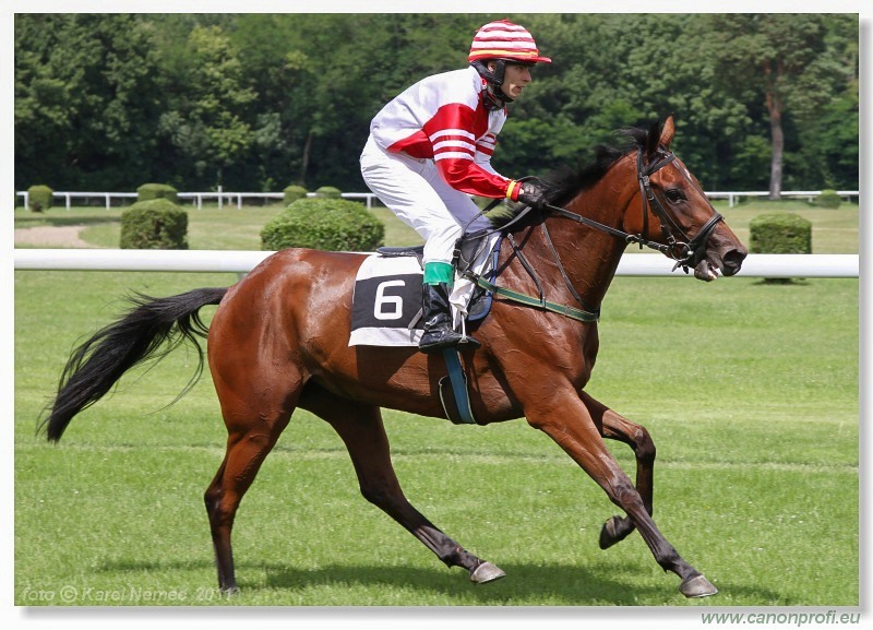 Bratislava - 26. júna 2011
