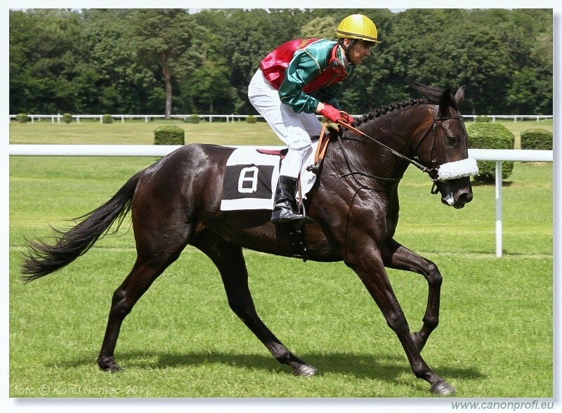 Bratislava - 26. júna 2011