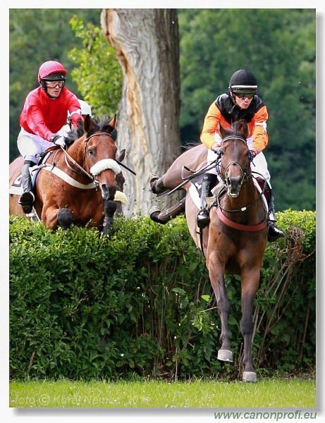 Bratislava - 26. júna 2011