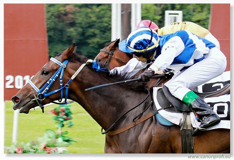 Bratislava - 26. júna 2011