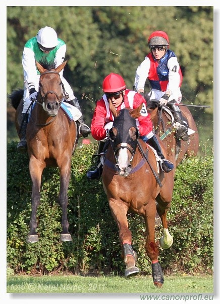 Bratislava - 28. augusta 2011