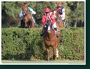Veľká starohájska steeplechase