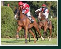 Veľká starohájska steeplechase