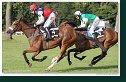 Veľká starohájska steeplechase
