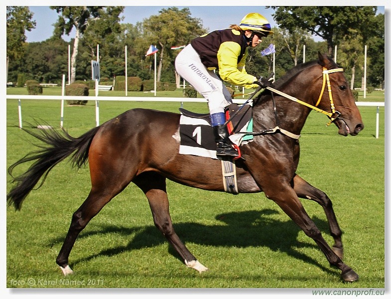 Bratislava - 25. septembra 2011