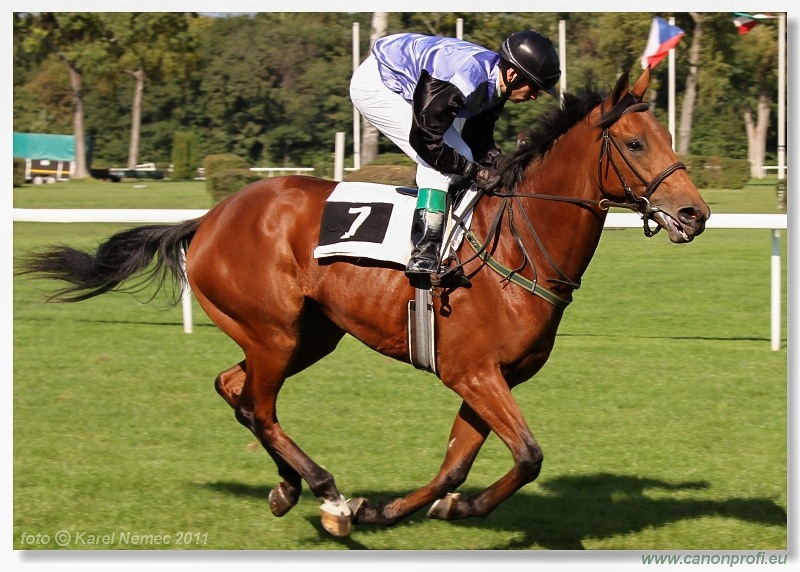 Bratislava - 25. septembra 2011
