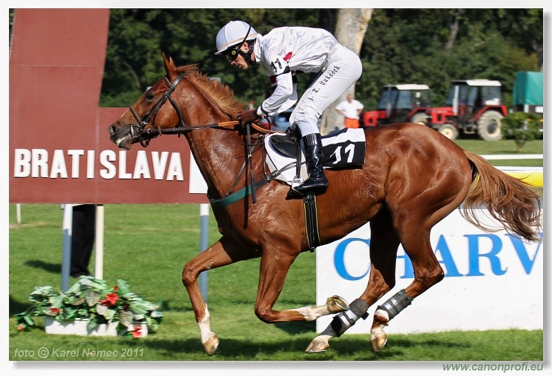 Bratislava - 25. septembra 2011