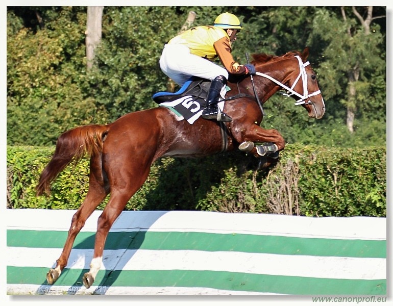 Bratislava - 25. septembra 2011