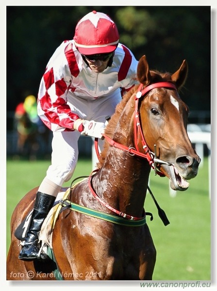 Bratislava - 02. októbra 2011
