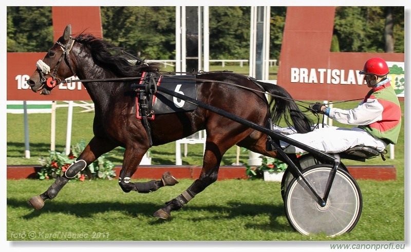 Bratislava - 16. októbra 2011