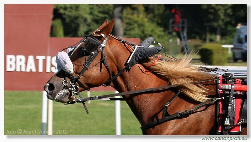 Bratislava - 16. októbra 2011