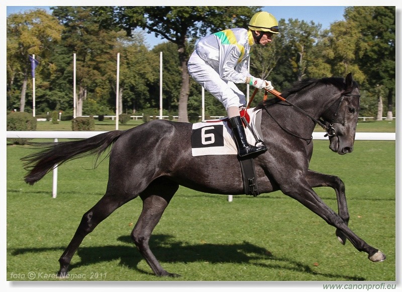 Bratislava - 16. októbra 2011