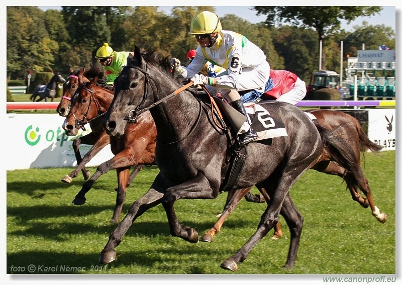 Bratislava - 16. októbra 2011