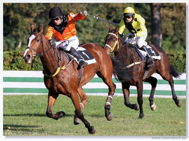 Bratislava - 16. októbra 2011