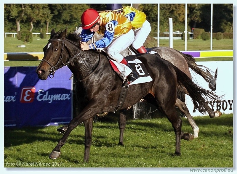 Bratislava - 16. októbra 2011