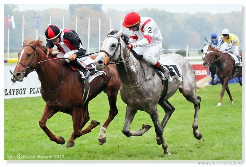 Bratislava - 30. októbra 2011